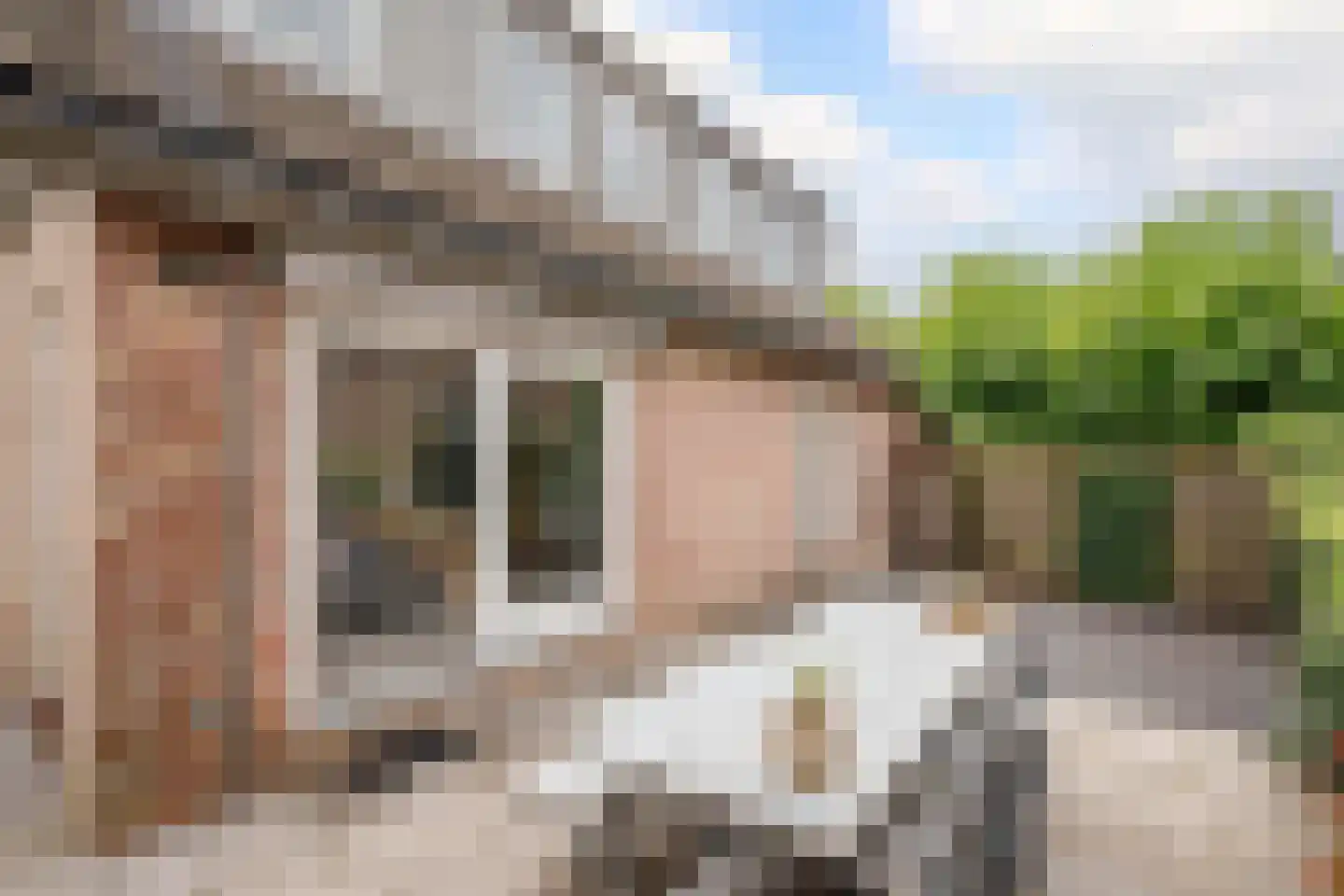 Korenbloem 10 Bergambacht thumbnail 42