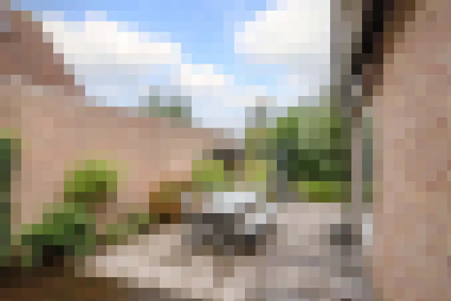 Korenbloem 10 Bergambacht thumbnail 43
