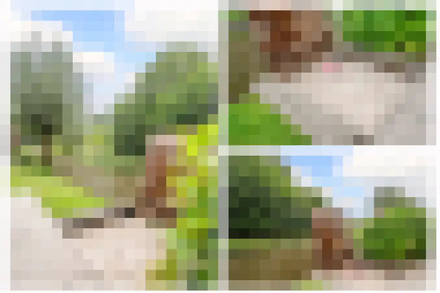 Korenbloem 10 Bergambacht thumbnail 44