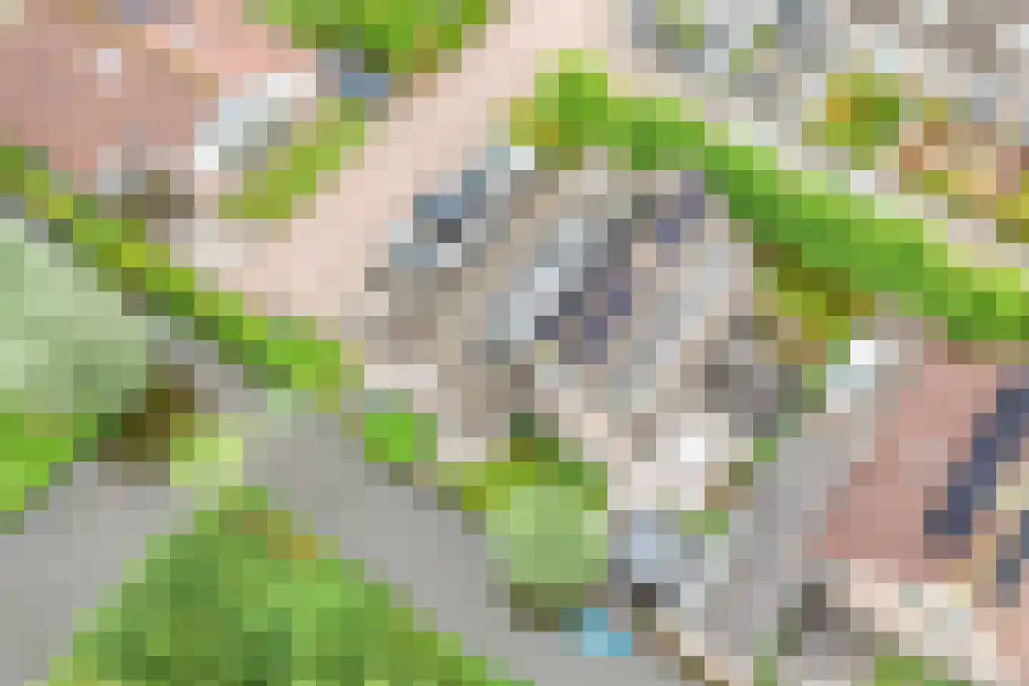 Korenbloem 10 Bergambacht thumbnail 47