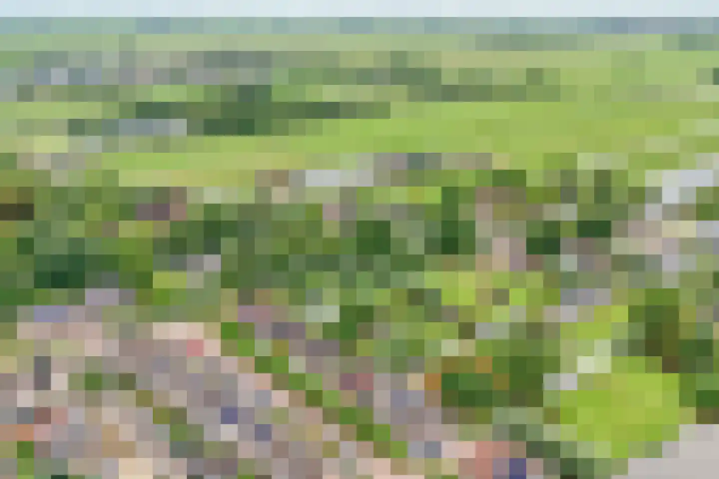 Korenbloem 10 Bergambacht thumbnail 48