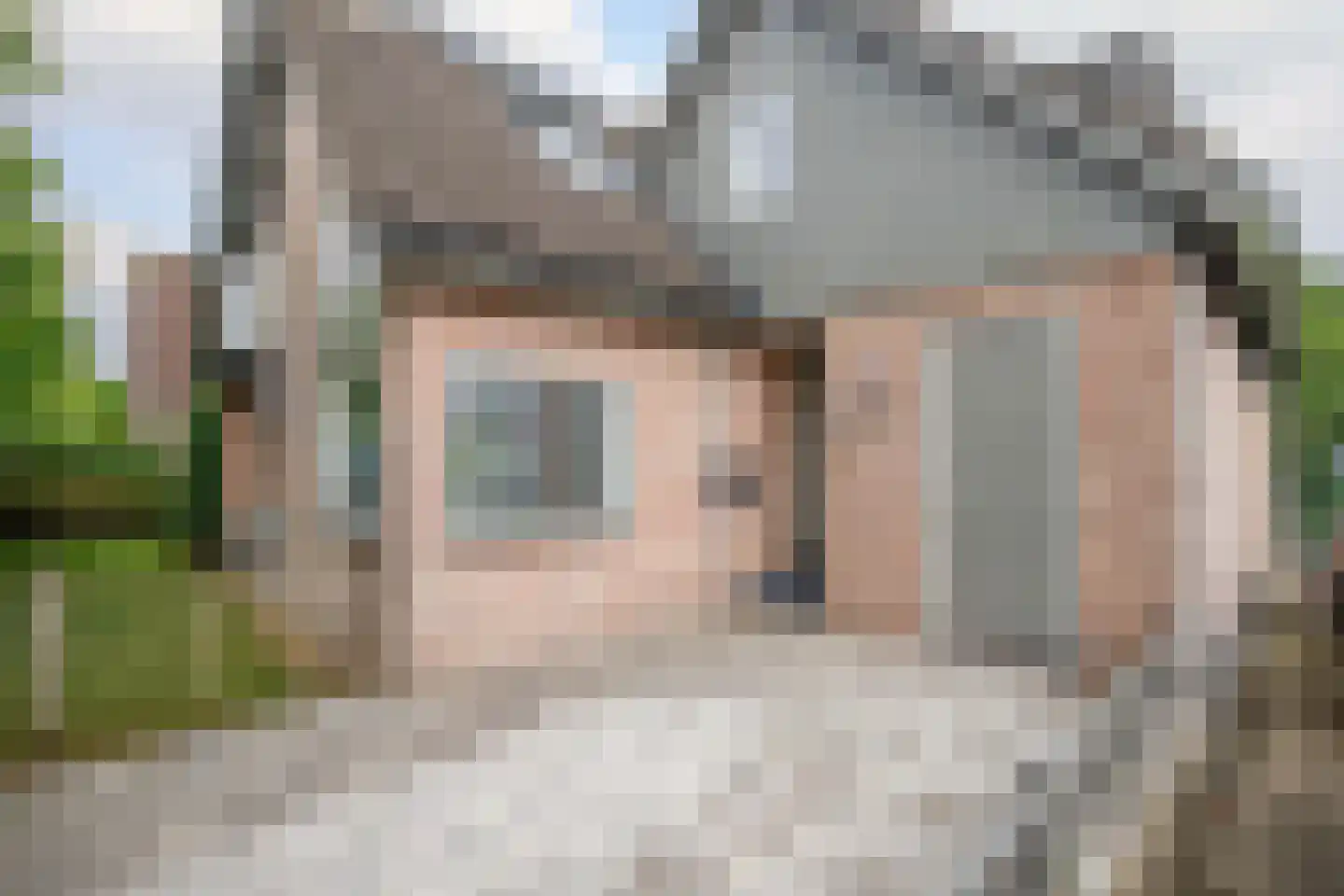 Korenbloem 10 Bergambacht thumbnail 5