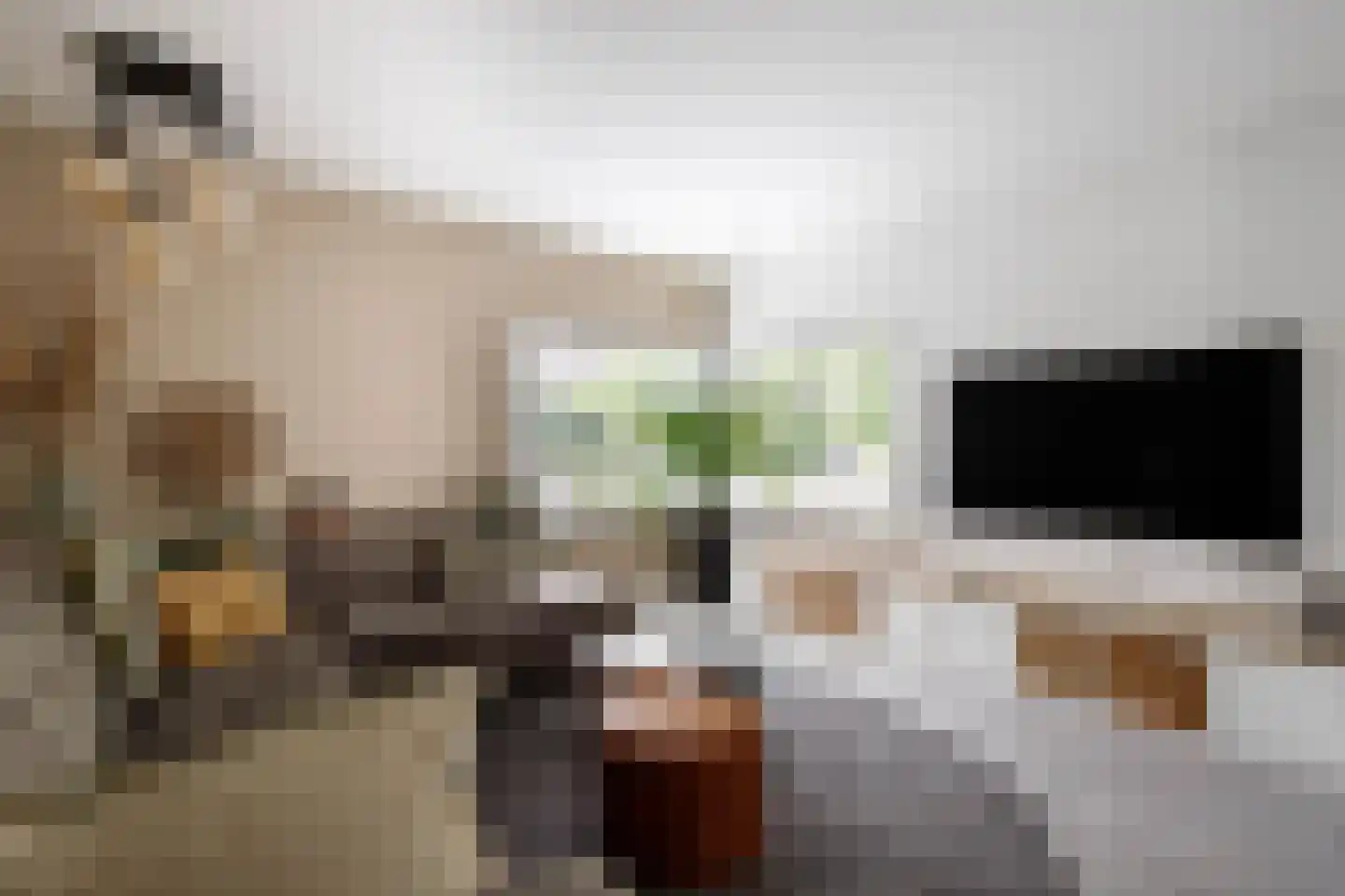 Korenbloem 10 Bergambacht thumbnail 9