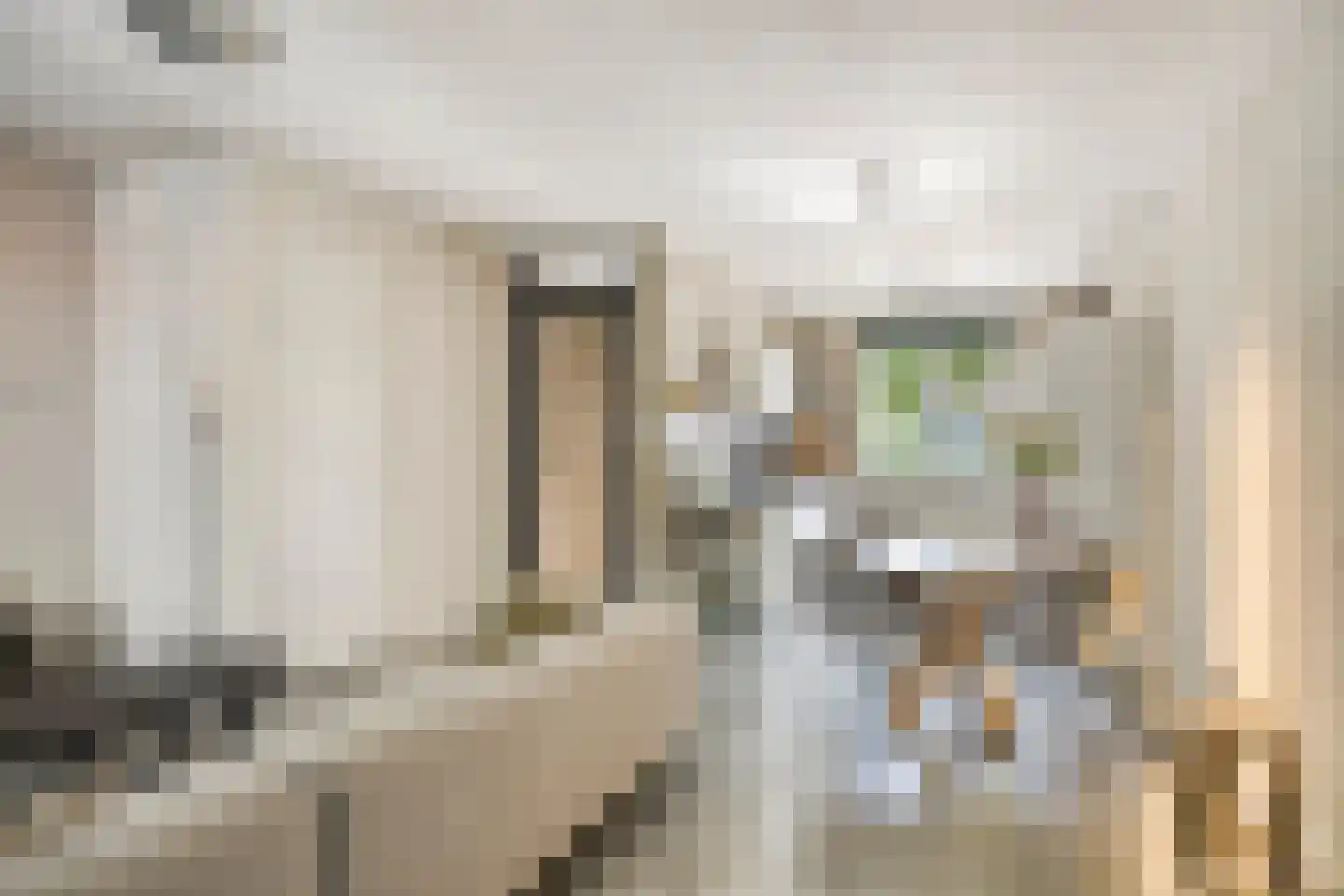Korenbloem 10 Galder thumbnail 12