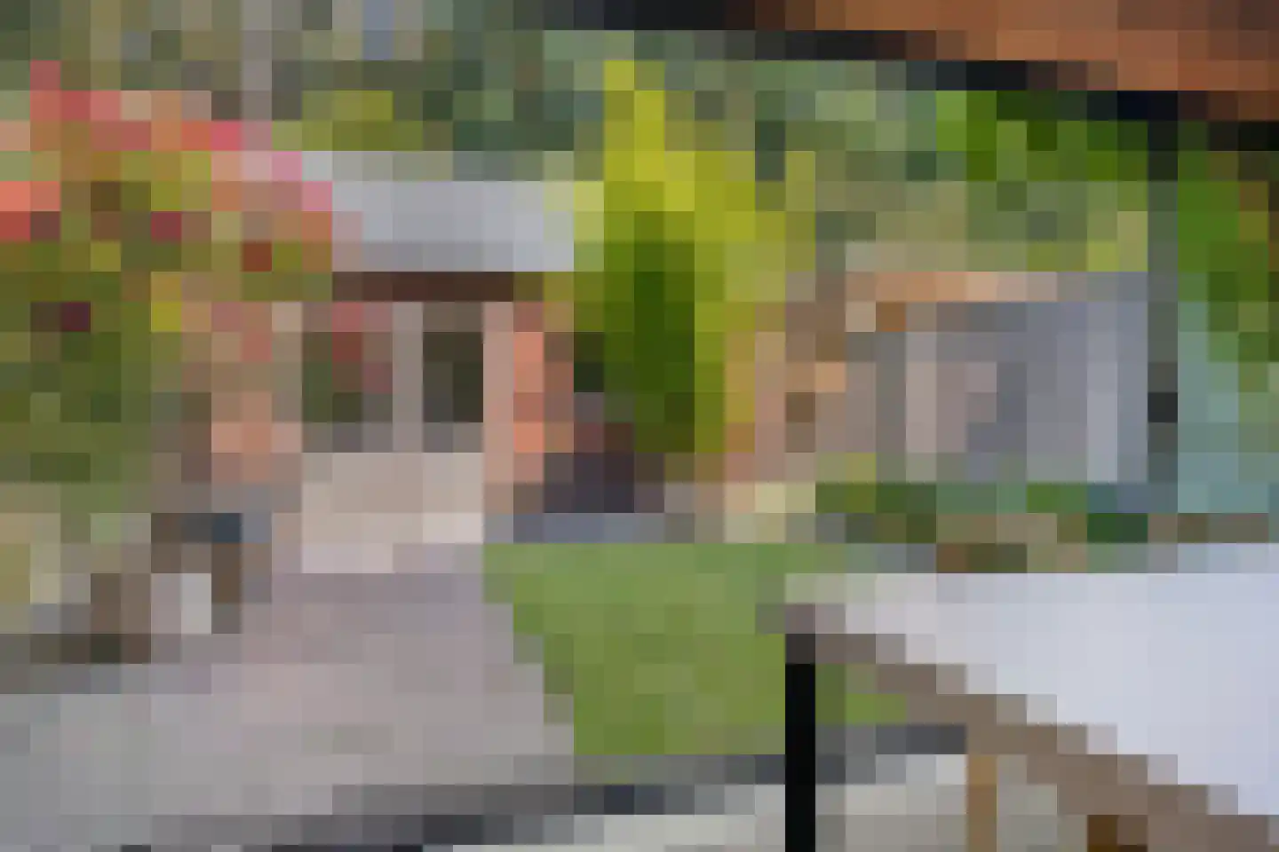 Korenbloem 10 Galder thumbnail 18