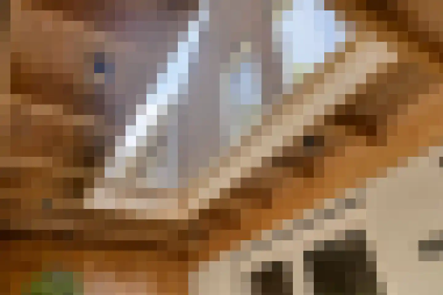 Korenbloem 10 Galder thumbnail 20