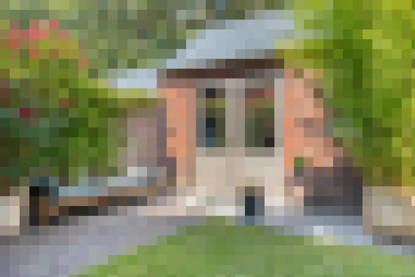 Korenbloem 10 Galder thumbnail 22