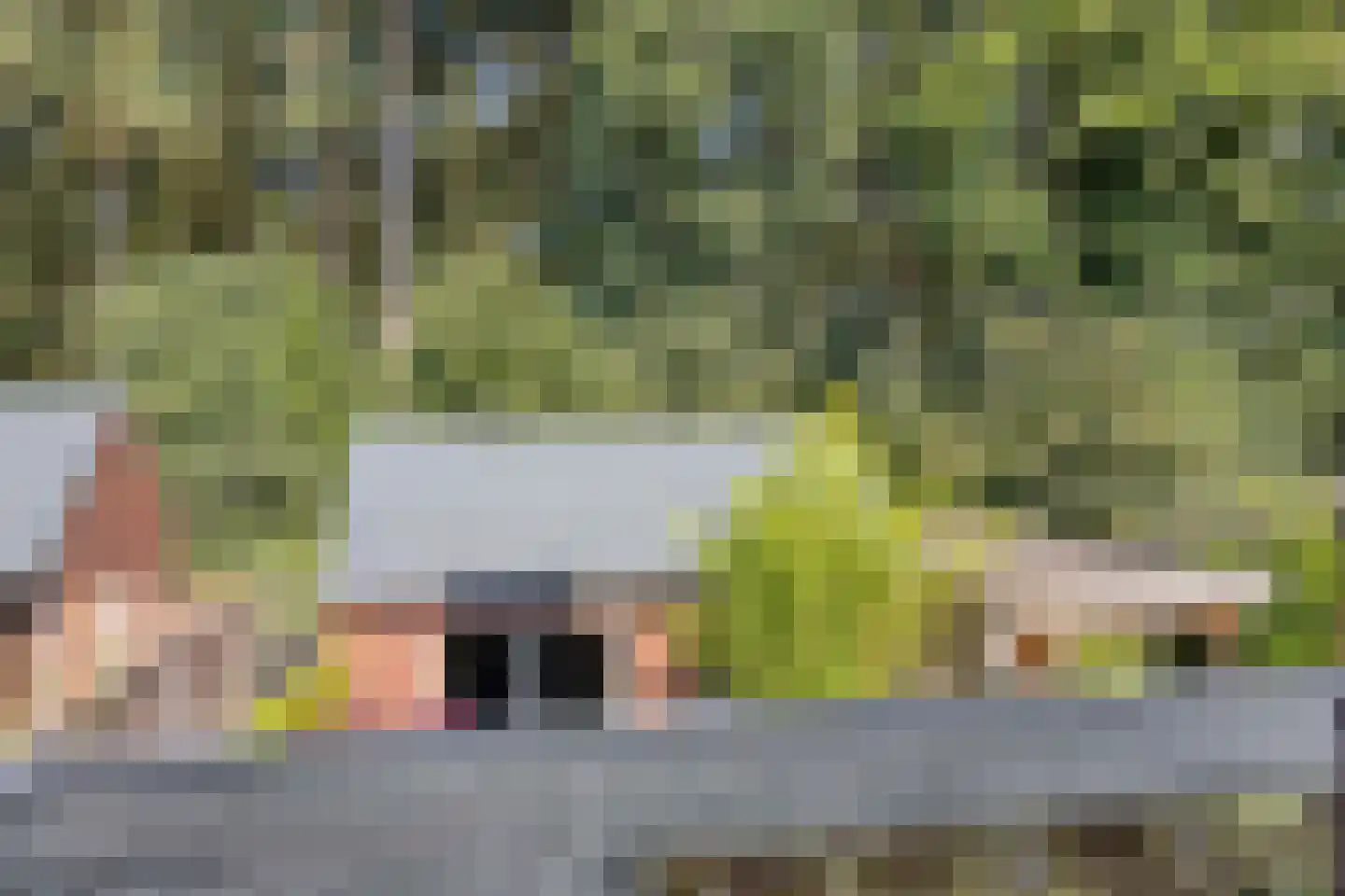 Korenbloem 10 Galder thumbnail 29