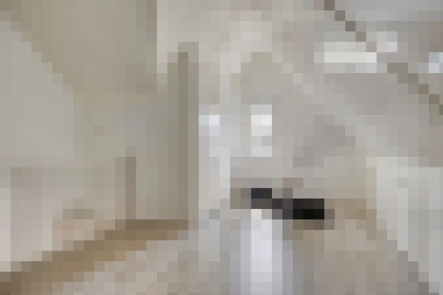 Korenbloem 10 Galder thumbnail 38