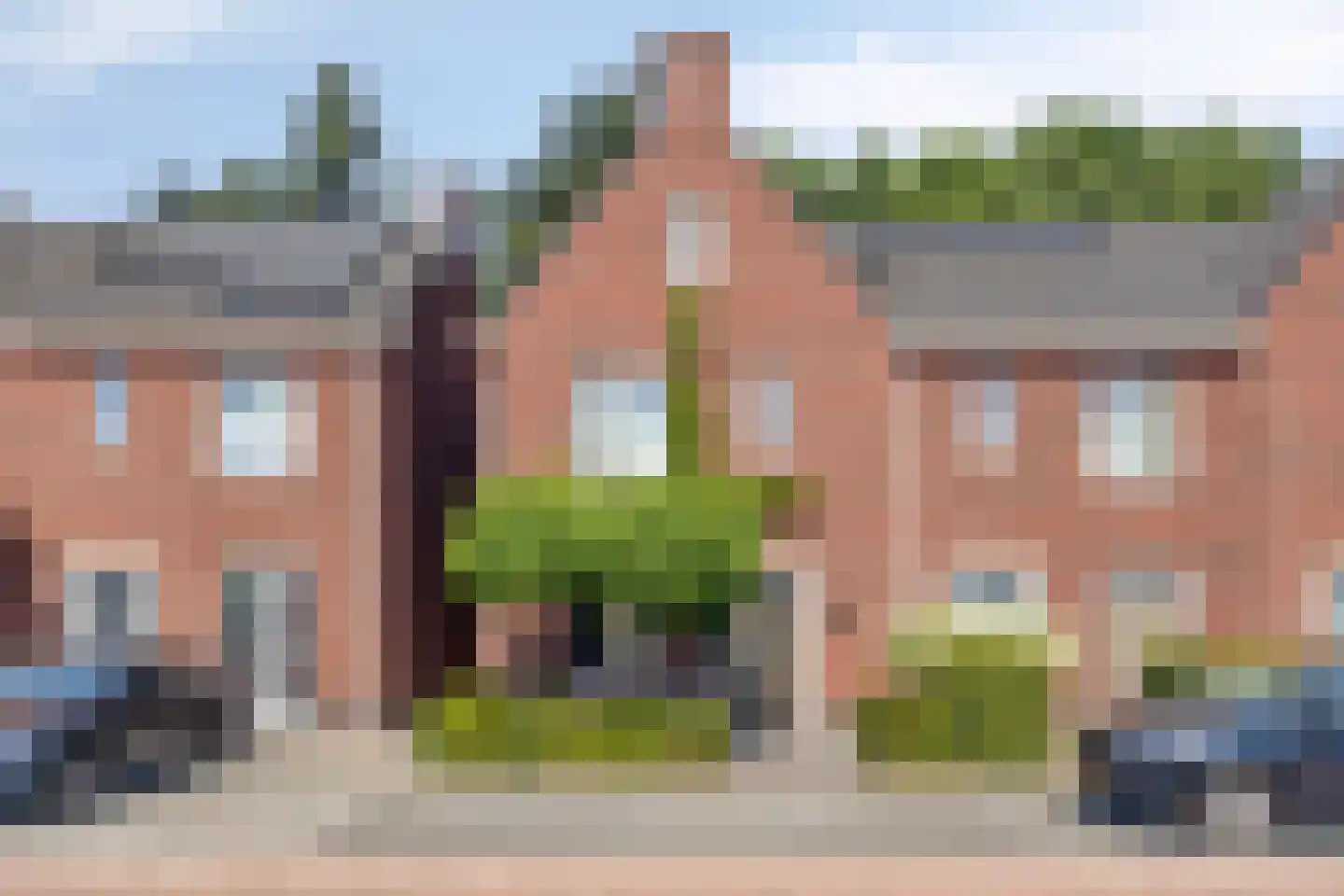 Korenbloem 10 Galder thumbnail 39