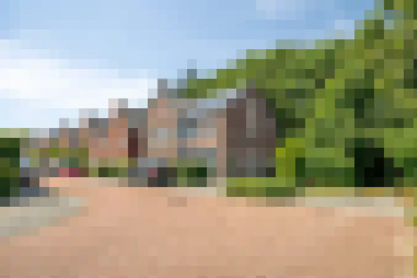 Korenbloem 10 Galder thumbnail 42