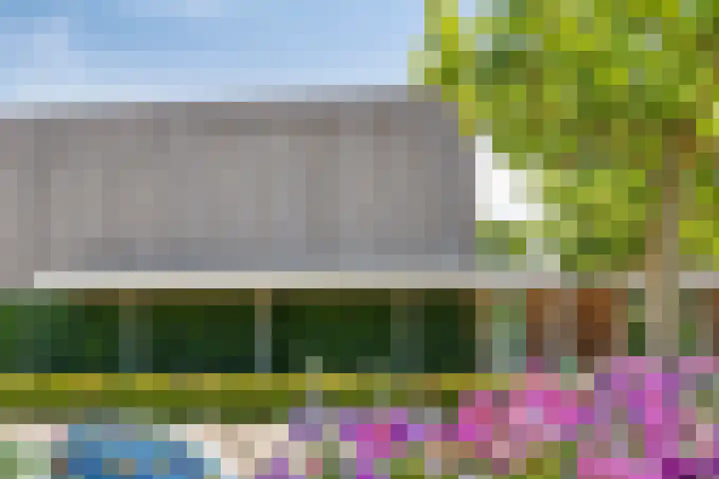 Korenbloem 10 Galder thumbnail 43