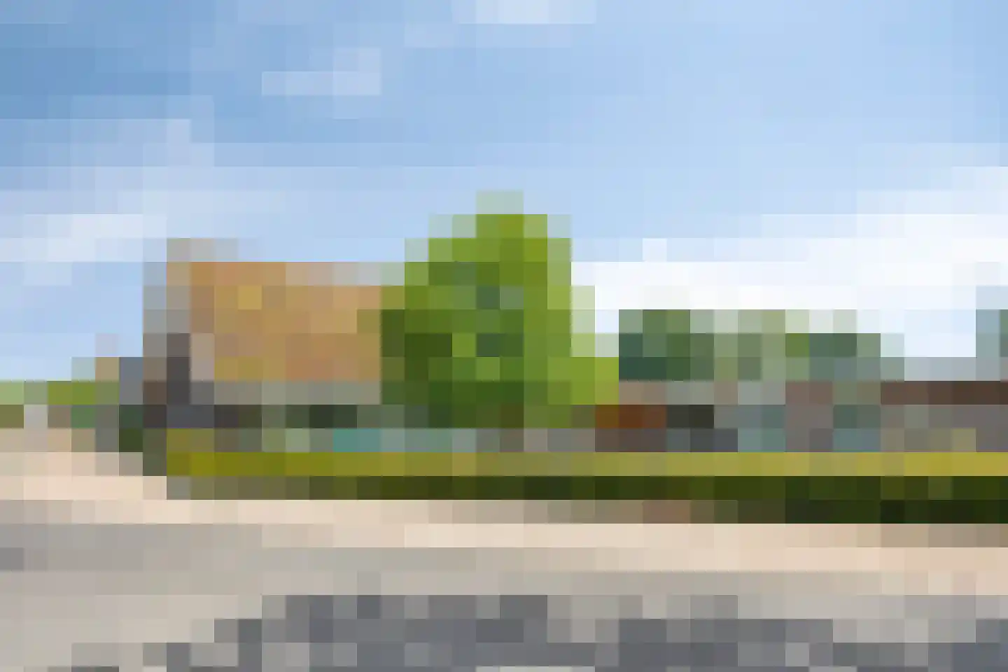 Korenbloem 10 Galder thumbnail 45