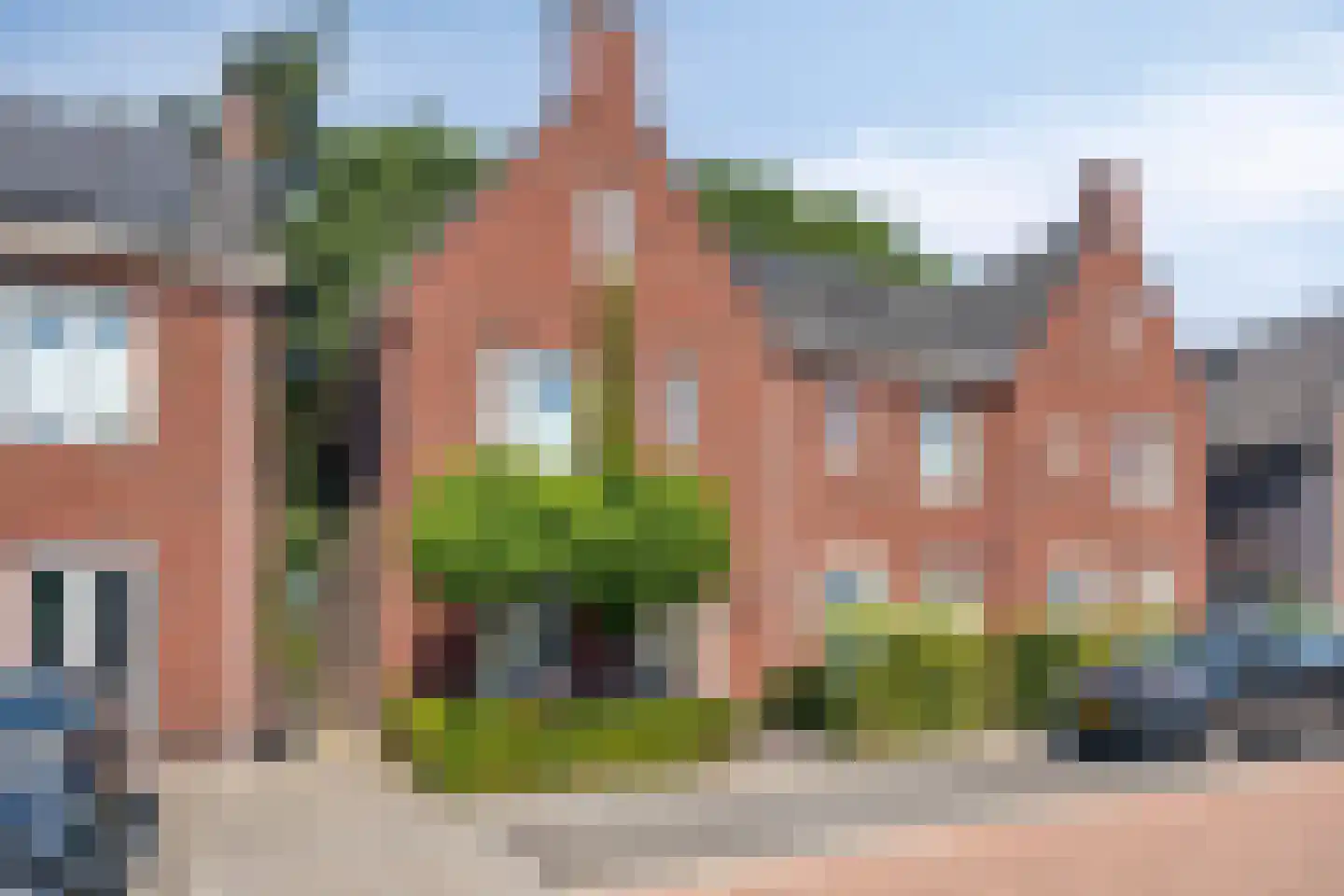 Korenbloem 10 Galder thumbnail 5