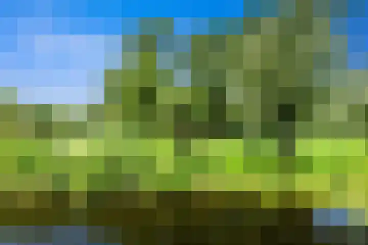 Korenbloem 10 Leiden thumbnail 22