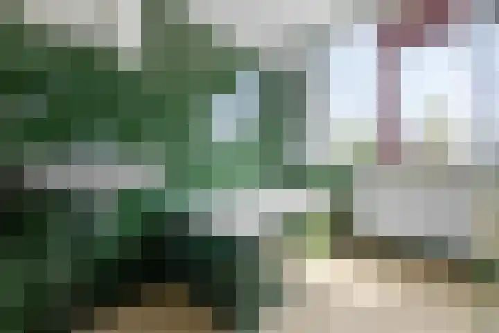 Korenbloem 10 Leiden thumbnail 37