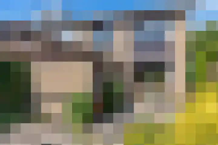 Korenbloem 10 Leiden thumbnail 59
