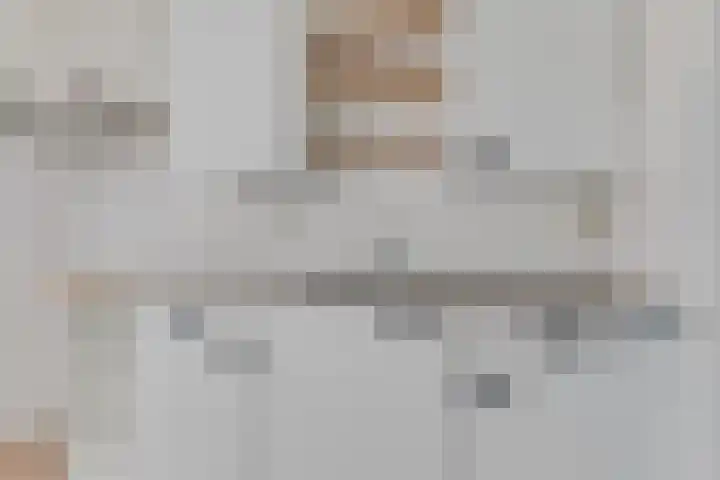Korenbloem 101 Zwaag thumbnail 12