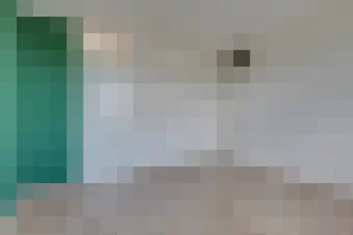 Korenbloem 101 Zwaag thumbnail 14