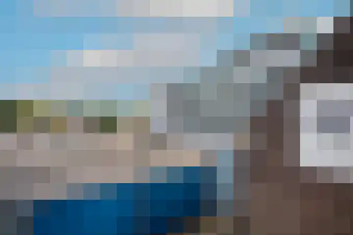 Korenbloem 101 Zwaag thumbnail 19