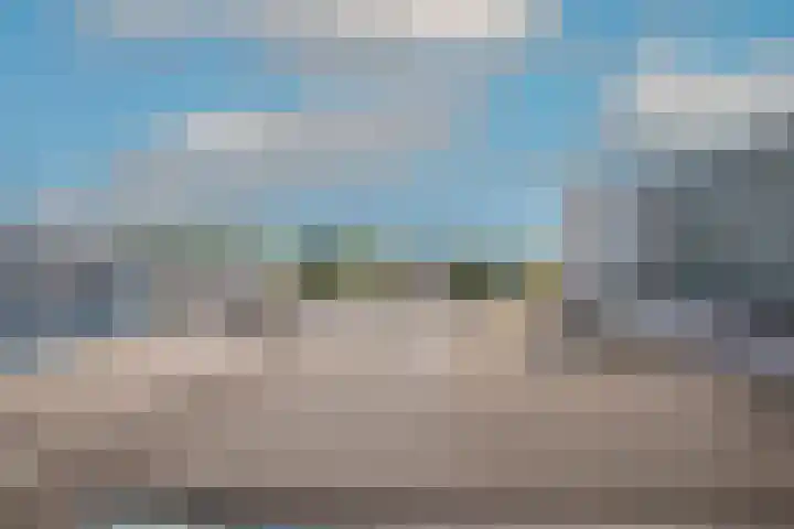Korenbloem 101 Zwaag thumbnail 21
