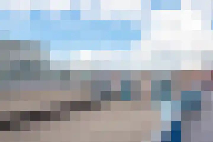 Korenbloem 101 Zwaag thumbnail 24