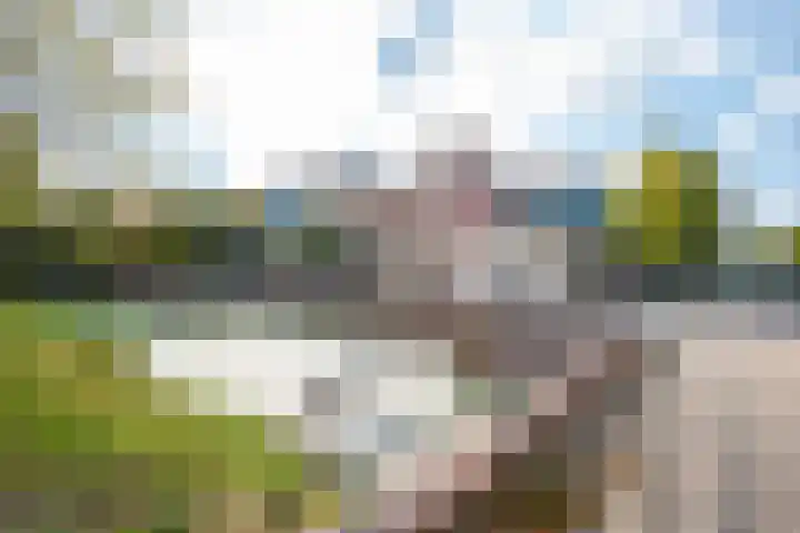 Korenbloem 101 Zwaag thumbnail 27