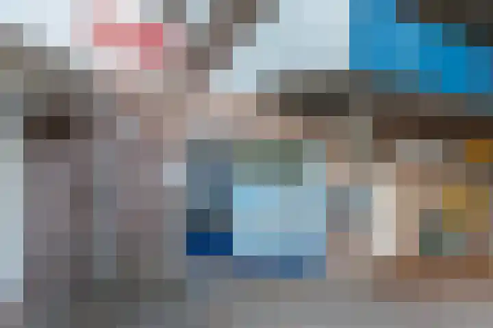 Korenbloem 101 Zwaag thumbnail 5