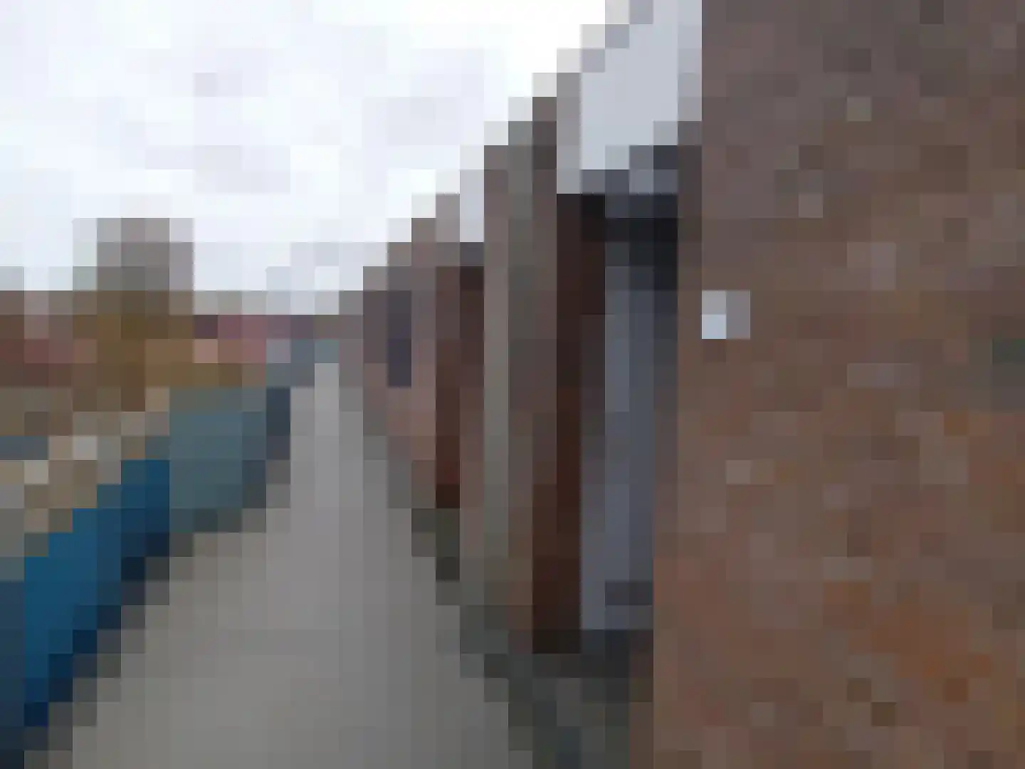 Korenbloem 102 Zwaag thumbnail 6