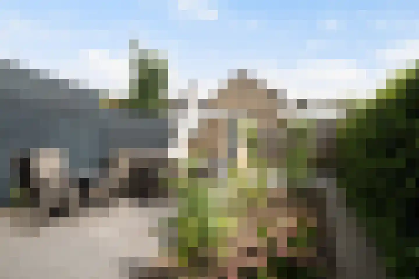 Korenbloem 11 Barendrecht thumbnail 48