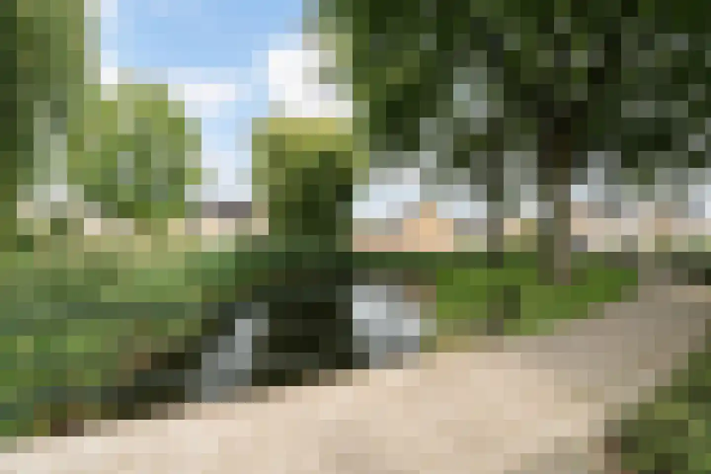 Korenbloem 11 Barendrecht thumbnail 59