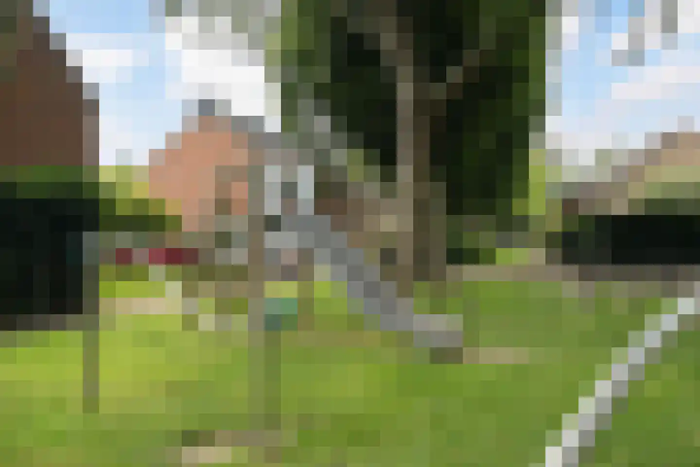 Korenbloem 11 Barendrecht thumbnail 60