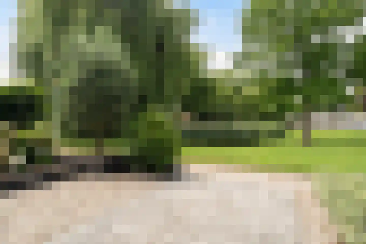 Korenbloem 11 Barendrecht thumbnail 9