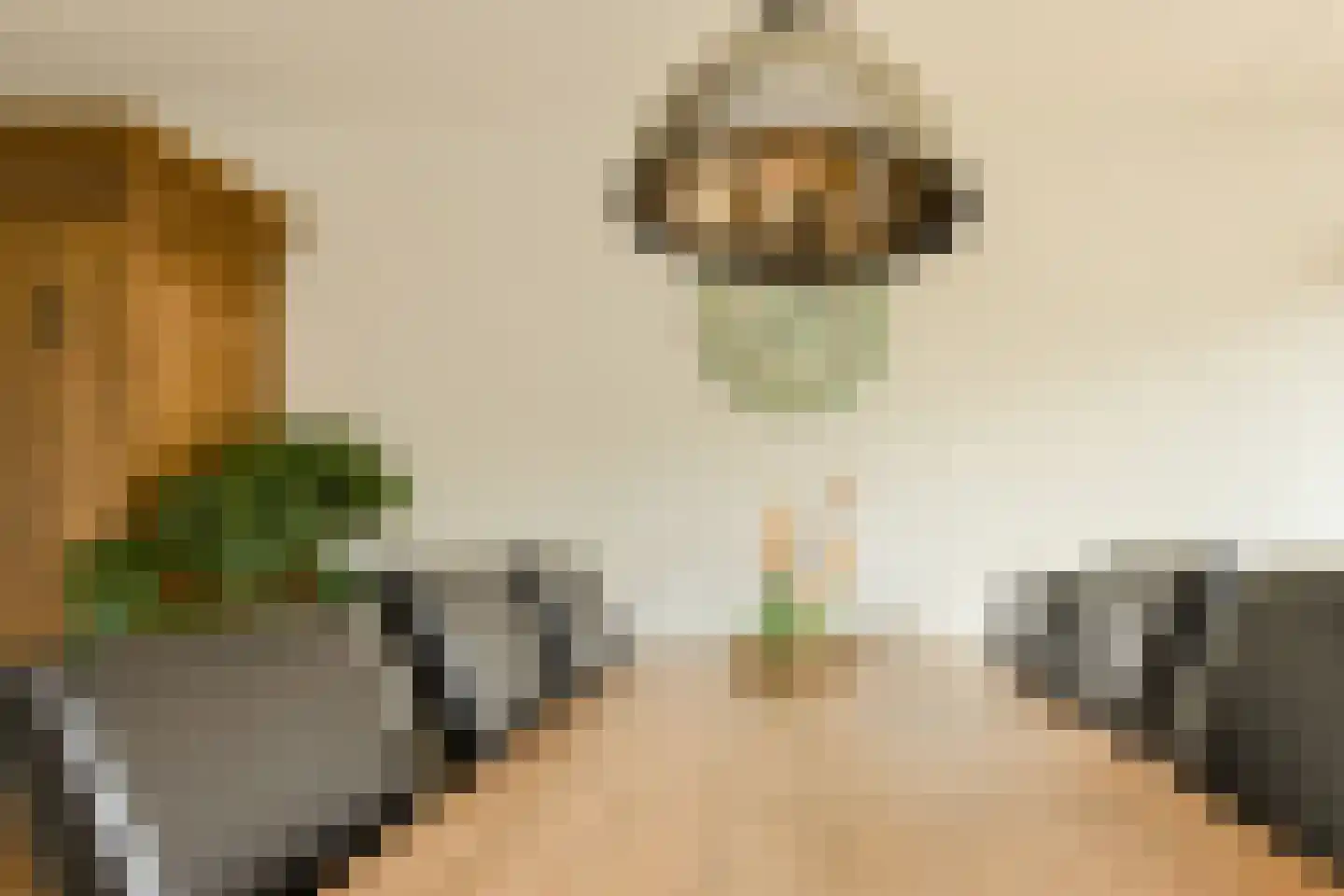 Korenbloem 11 Bavel thumbnail 10