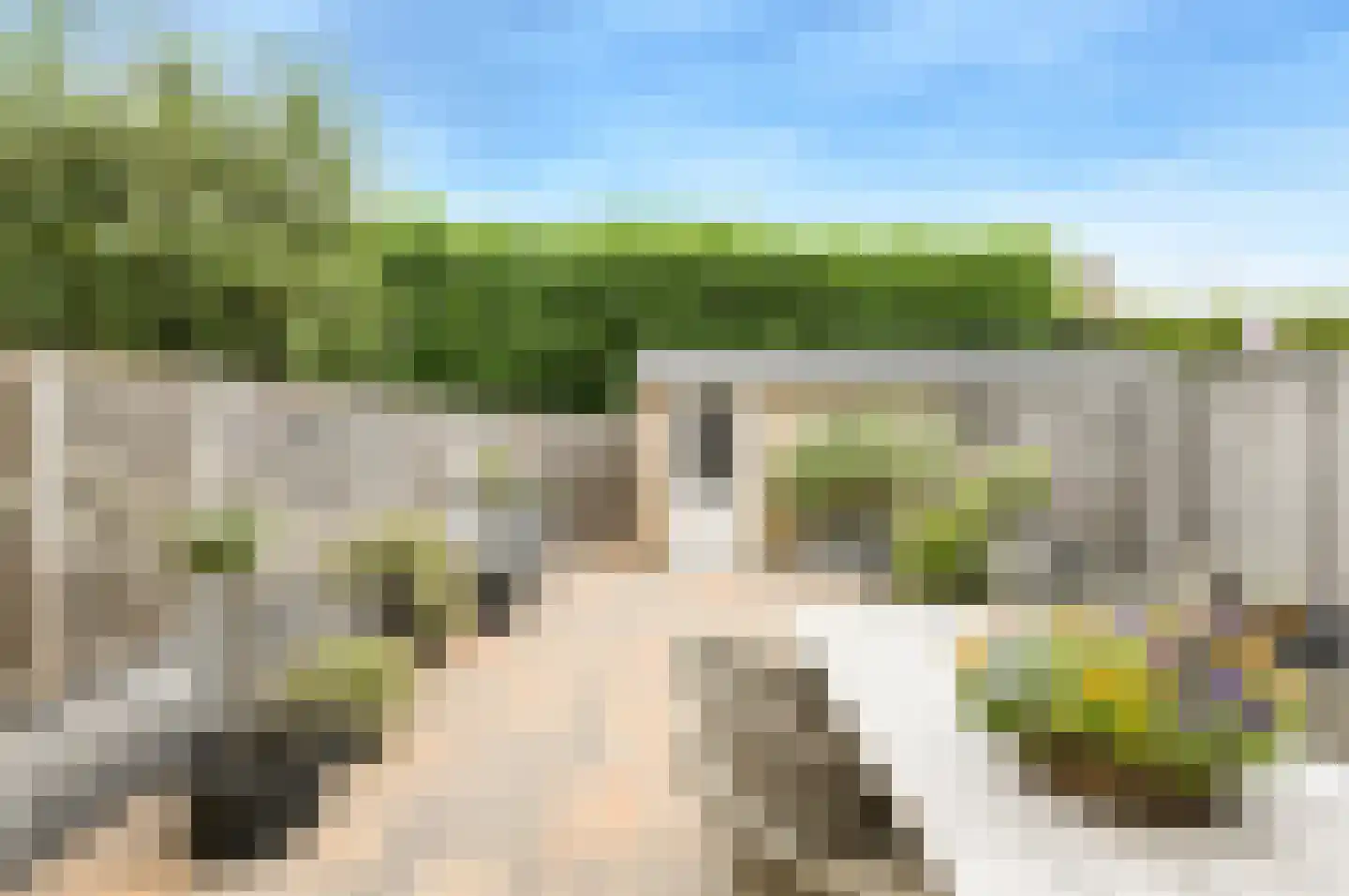 Korenbloem 11 Bavel thumbnail 33