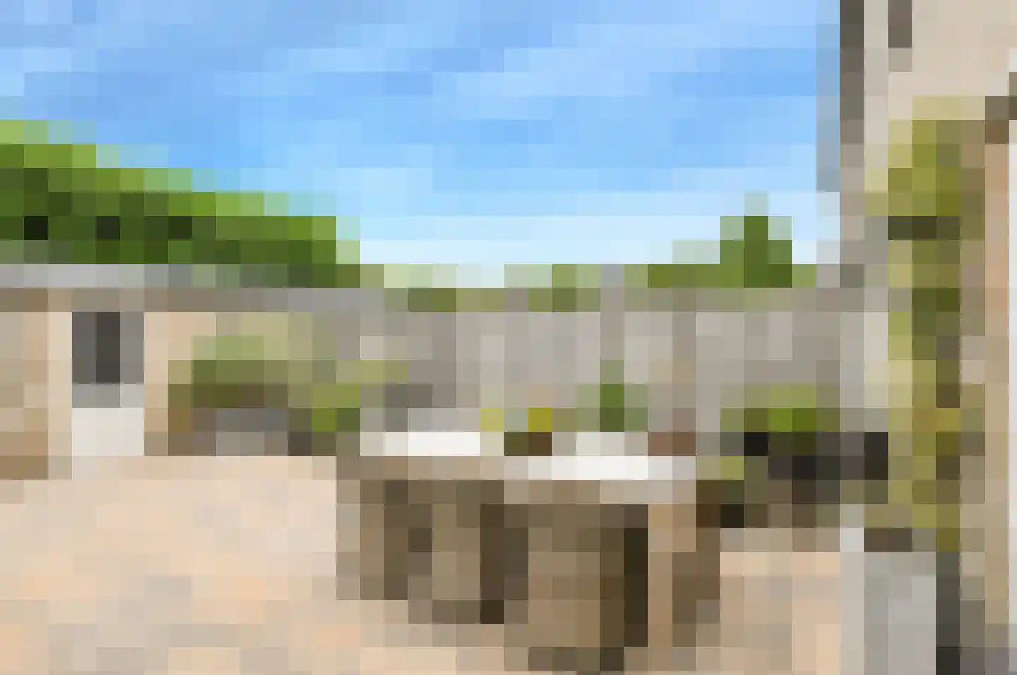 Korenbloem 11 Bavel thumbnail 34