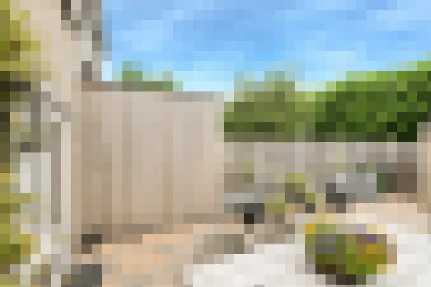 Korenbloem 11 Bavel thumbnail 35