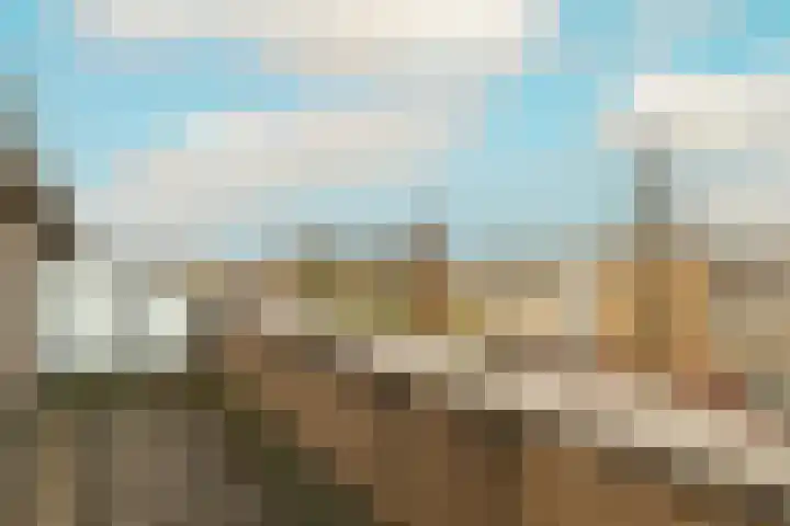 Korenbloem 11 Noordwijkerhout thumbnail 31