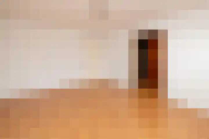 Korenbloem 11 Noordwijkerhout thumbnail 33