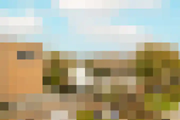 Korenbloem 11 Noordwijkerhout thumbnail 36