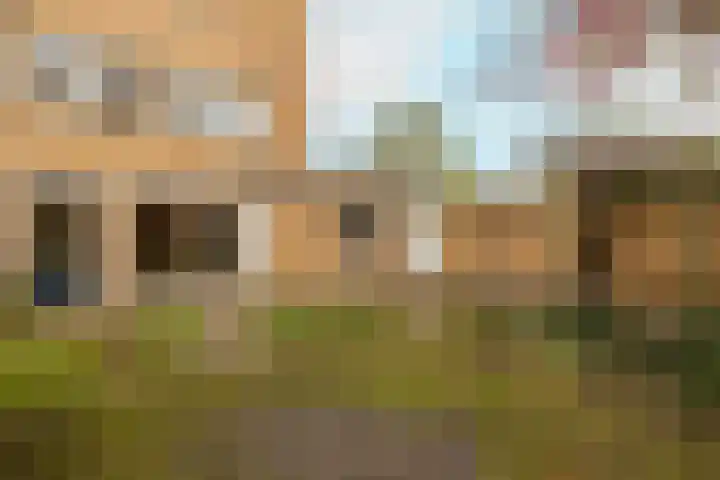 Korenbloem 11 Noordwijkerhout thumbnail 39