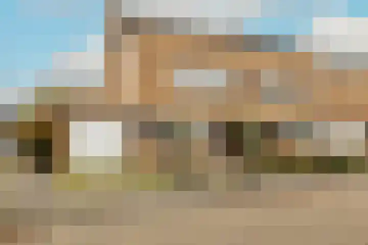 Korenbloem 11 Noordwijkerhout thumbnail 42