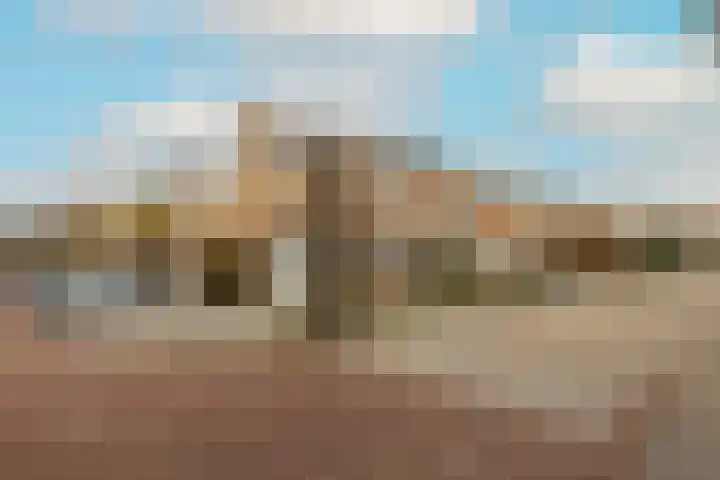 Korenbloem 11 Noordwijkerhout thumbnail 43