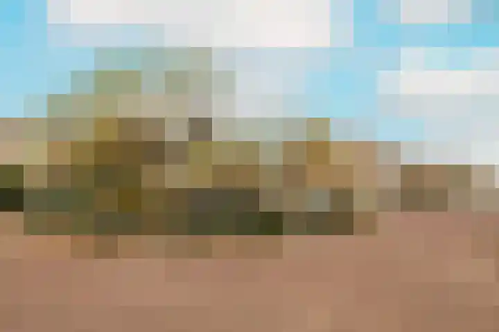 Korenbloem 11 Noordwijkerhout thumbnail 44