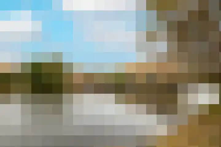 Korenbloem 11 Noordwijkerhout thumbnail 45