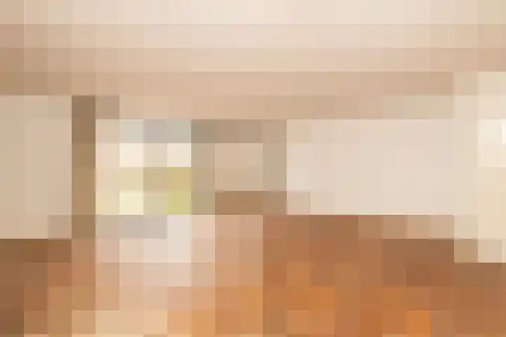 Korenbloem 11 Noordwijkerhout thumbnail 5