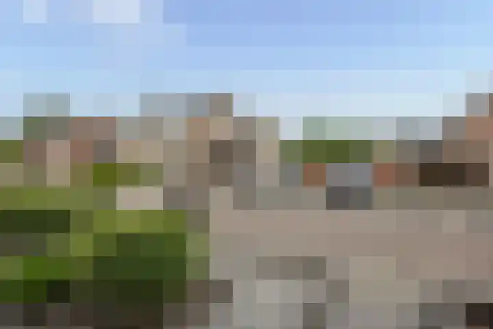Korenbloem 12 Haaksbergen thumbnail 31