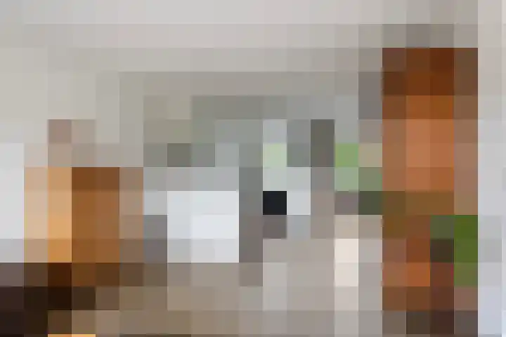 Korenbloem 12 Klarenbeek thumbnail 10