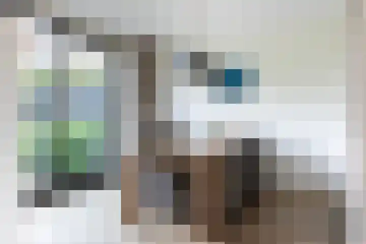 Korenbloem 12 Klarenbeek thumbnail 11