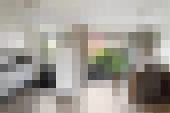 Korenbloem 12 Klarenbeek thumbnail 13